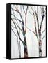 Canvas Black
