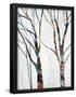 Essential Black
