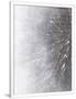 Gramercy White