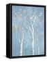 Framed Canvas