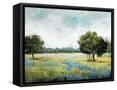 Framed Canvas