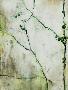Laminate