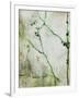 Gramercy White