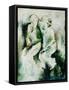Framed Canvas