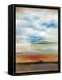Framed Canvas
