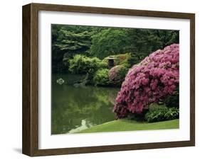 Rikugin Garden, Tokyo, Japan-null-Framed Premium Photographic Print