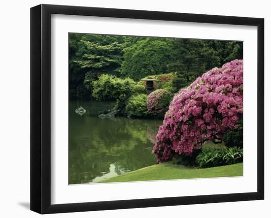 Rikugin Garden, Tokyo, Japan-null-Framed Premium Photographic Print