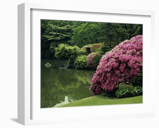 Rikugin Garden, Tokyo, Japan-null-Framed Premium Photographic Print