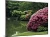 Rikugin Garden, Tokyo, Japan-null-Mounted Premium Photographic Print