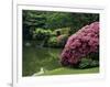 Rikugin Garden, Tokyo, Japan-null-Framed Photographic Print