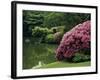 Rikugin Garden, Tokyo, Japan-null-Framed Photographic Print