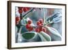 Rimed Berries of the Holly Frosted-null-Framed Photographic Print