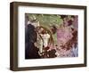 Rimsky-Korsakov - 'Scheherazade'-Valentin Aleksandrovich Serov-Framed Giclee Print