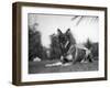 Rin-Tin-Tin (1916-1932)-null-Framed Giclee Print