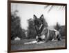 Rin-Tin-Tin (1916-1932)-null-Framed Giclee Print