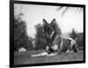 Rin-Tin-Tin (1916-1932)-null-Framed Giclee Print