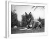 Rin-Tin-Tin (1916-1932)-null-Framed Giclee Print