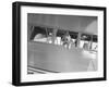 Rin Tin Tin Posing in Airplane-null-Framed Premium Photographic Print