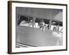 Rin Tin Tin Posing in Airplane-null-Framed Photographic Print