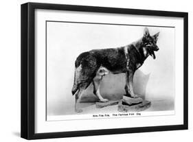 Rin Tin Tin-null-Framed Photographic Print