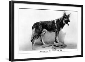 Rin Tin Tin-null-Framed Photographic Print