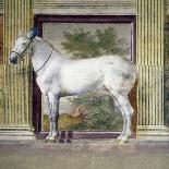 Figure of Horse, Detail-Rinaldo Mantovano-Stretched Canvas