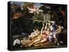 Rinaldo Presents Armida with a Mirror-Domenichino-Stretched Canvas