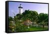 Rincon Lighthouse and Garden, Puerto Rico-George Oze-Framed Stretched Canvas