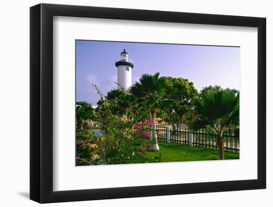 Rincon Lighthouse and Garden, Puerto Rico-George Oze-Framed Photographic Print