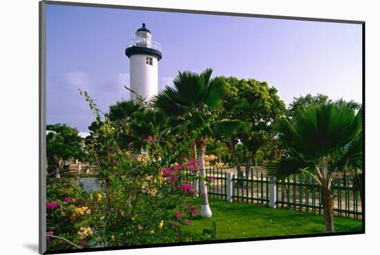 Rincon Lighthouse and Garden, Puerto Rico-George Oze-Mounted Photographic Print