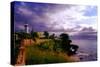 Rincon Lighthouse, Puerto Rico-George Oze-Stretched Canvas