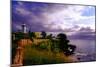 Rincon Lighthouse, Puerto Rico-George Oze-Mounted Photographic Print