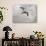 Ring Billed Gull at Reelfoot-Jai Johnson-Giclee Print displayed on a wall