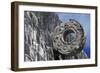 Ring for the Game of Pelota, Chichen Itza-null-Framed Photographic Print