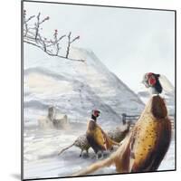 Ring Necked Pheasant-Clare Davis London-Mounted Giclee Print