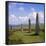 Ring of Brodgar (Brogar), Mainland, Orkney Islands, Scotland, UK,Europe-Michael Jenner-Framed Photographic Print