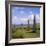 Ring of Brodgar (Brogar), Mainland, Orkney Islands, Scotland, UK,Europe-Michael Jenner-Framed Photographic Print