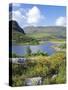 Ring of Kerry Between Upper Lake and Muckross Lake, Munster, Republic of Ireland (Eire)-Roy Rainford-Stretched Canvas