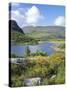 Ring of Kerry Between Upper Lake and Muckross Lake, Munster, Republic of Ireland (Eire)-Roy Rainford-Stretched Canvas