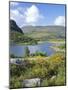 Ring of Kerry Between Upper Lake and Muckross Lake, Munster, Republic of Ireland (Eire)-Roy Rainford-Mounted Photographic Print