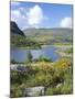 Ring of Kerry Between Upper Lake and Muckross Lake, Munster, Republic of Ireland (Eire)-Roy Rainford-Mounted Photographic Print