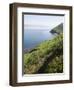 Ring of Kerry, County Kerry, Munster, Republic of Ireland, Europe-null-Framed Photographic Print