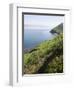 Ring of Kerry, County Kerry, Munster, Republic of Ireland, Europe-null-Framed Photographic Print