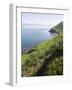 Ring of Kerry, County Kerry, Munster, Republic of Ireland, Europe-null-Framed Photographic Print