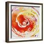 Ring Pop III-Rikki Drotar-Framed Giclee Print