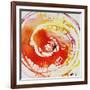 Ring Pop III-Rikki Drotar-Framed Giclee Print