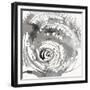 Ring Pop IV-Rikki Drotar-Framed Giclee Print