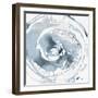 Ring Pop VII-Rikki Drotar-Framed Giclee Print