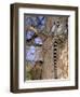 Ring-tailed Lemur, Berenty Reserve, Madagascar-Pete Oxford-Framed Photographic Print