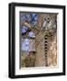 Ring-tailed Lemur, Berenty Reserve, Madagascar-Pete Oxford-Framed Photographic Print